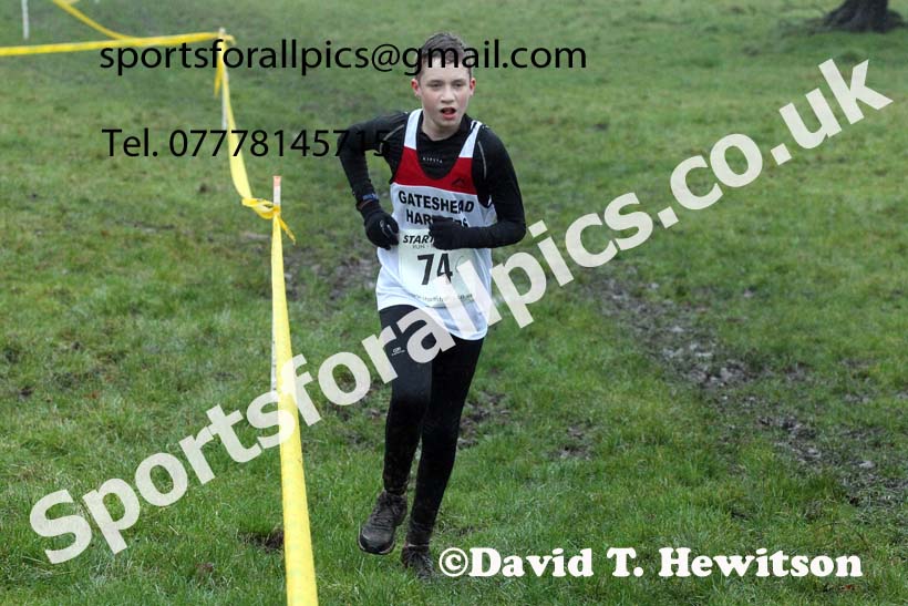 Boys under-15s, NECAA Junior Cross Country Relays, Thornley Farm, Peterlee, Saturday, December 12th. Photo: David T. Hewitson/Sports for All Pics